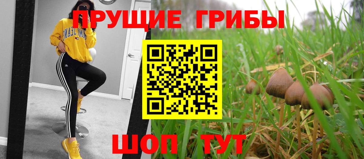 Галлюциногенные грибы Psilocybe  Галлюциногенные грибы ЛСД  Вход с VPN  Каспийск 
