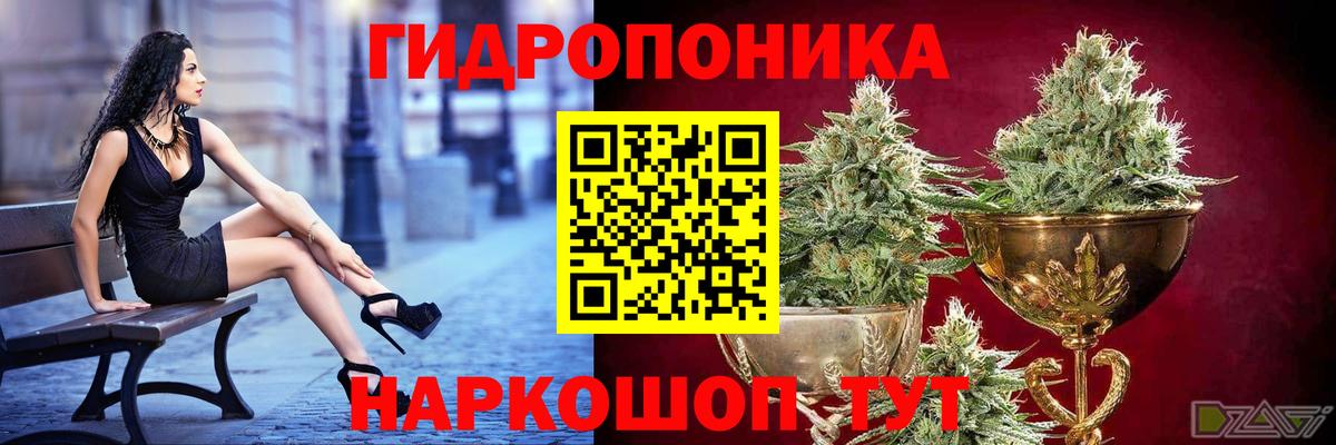 Каспийск  Каннабис тримм  Вход с VPN  Канабис Amnesia 